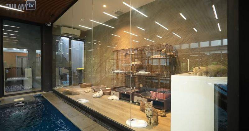 Youtube.com/TAULANY TV